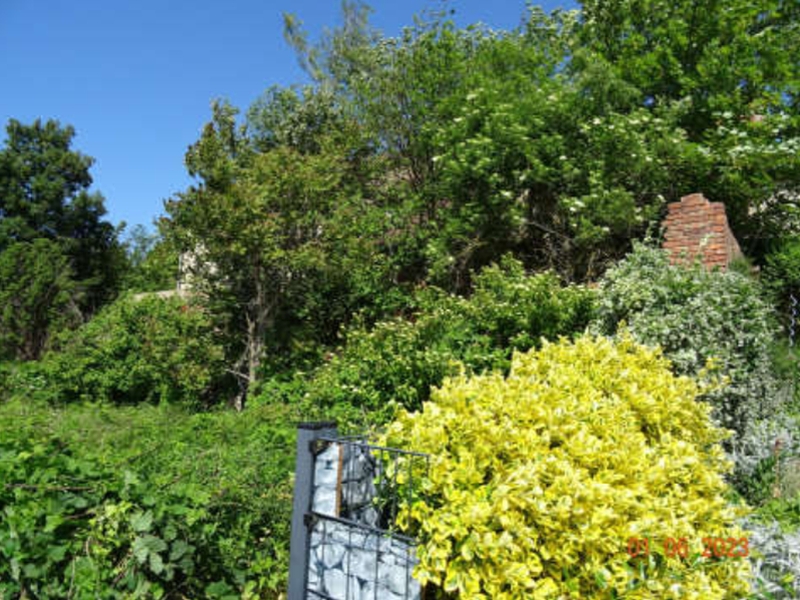 Einfamilienhaus in Bahnberg 13, 06333 Hettstedt OT Burgörner-Neudorf - Bild 3