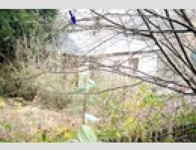 Wochenend- und Ferienhausfläche in Handtal 14, 06313 Ahlsdorf - Bild 2