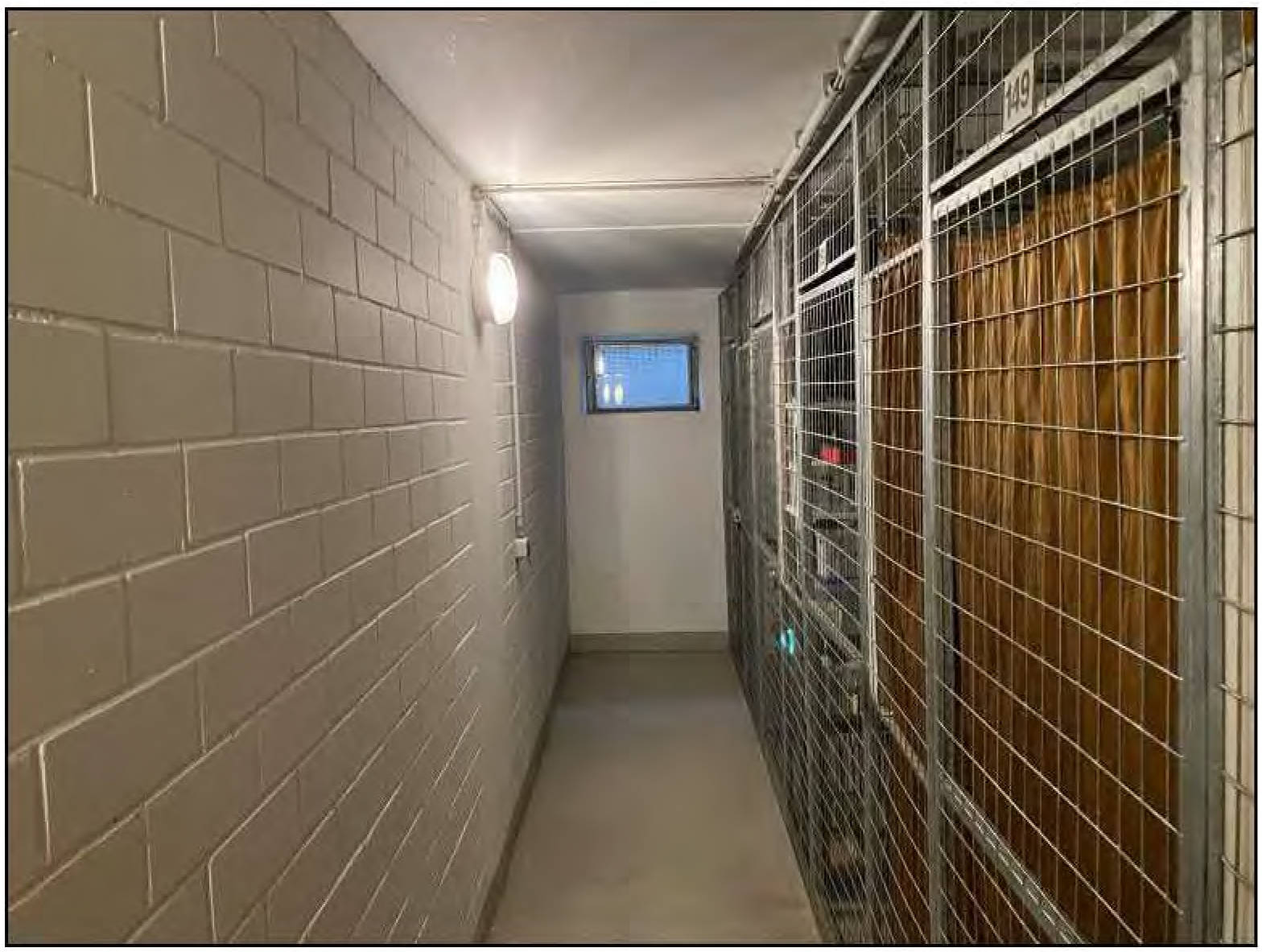 sachsen-anhalt 555 K 38/23 Greifswalder Weg 4, 06128 Halle (Saale) 14