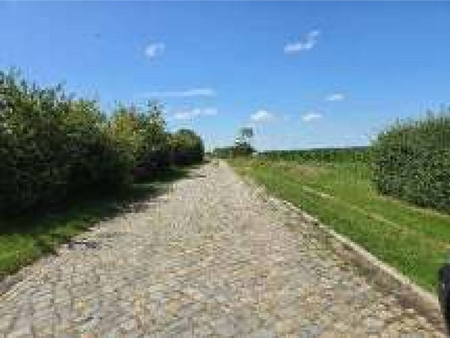 Einfamilienhaus in Eichstedter Weg 11, 39596 Eichstedt (Altmark)/ OT Baben - Bild 5