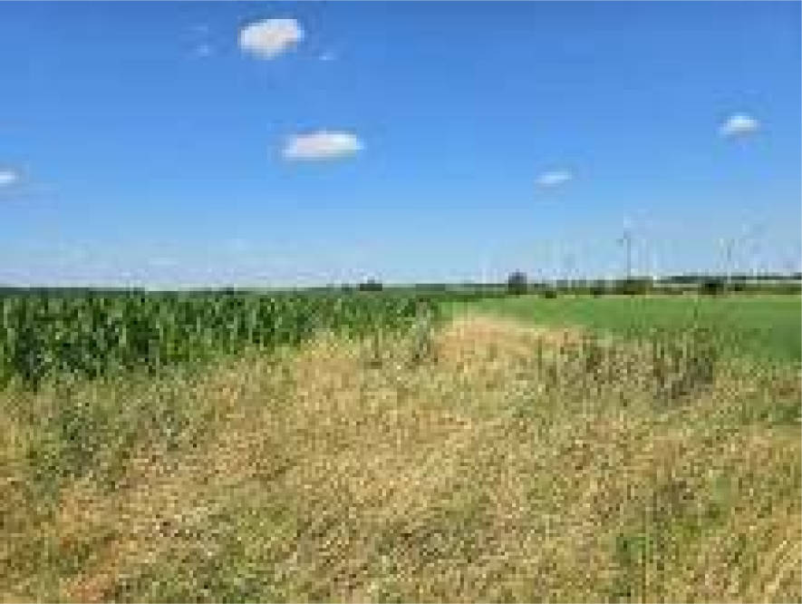 sachsen-anhalt 0007 K 0010/2023 Eichstedter Weg 11, 39596 Eichstedt (Altmark)/ OT Baben 6