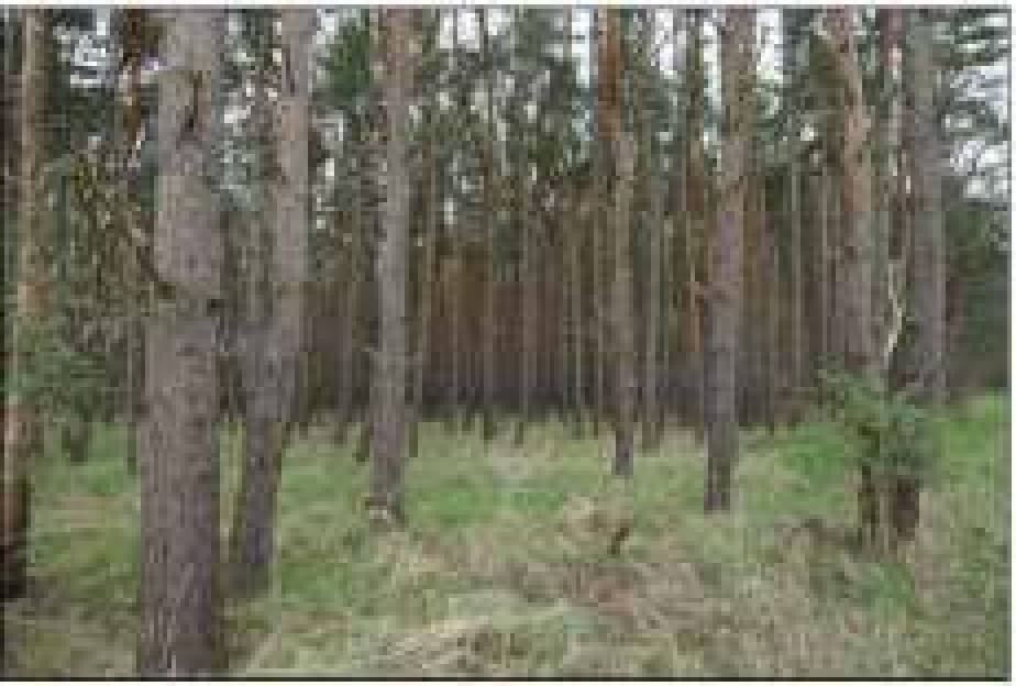 sachsen-anhalt 0007 K 0020/2022 Alte Dorfstraße 34, 39596 Goldbeck 11