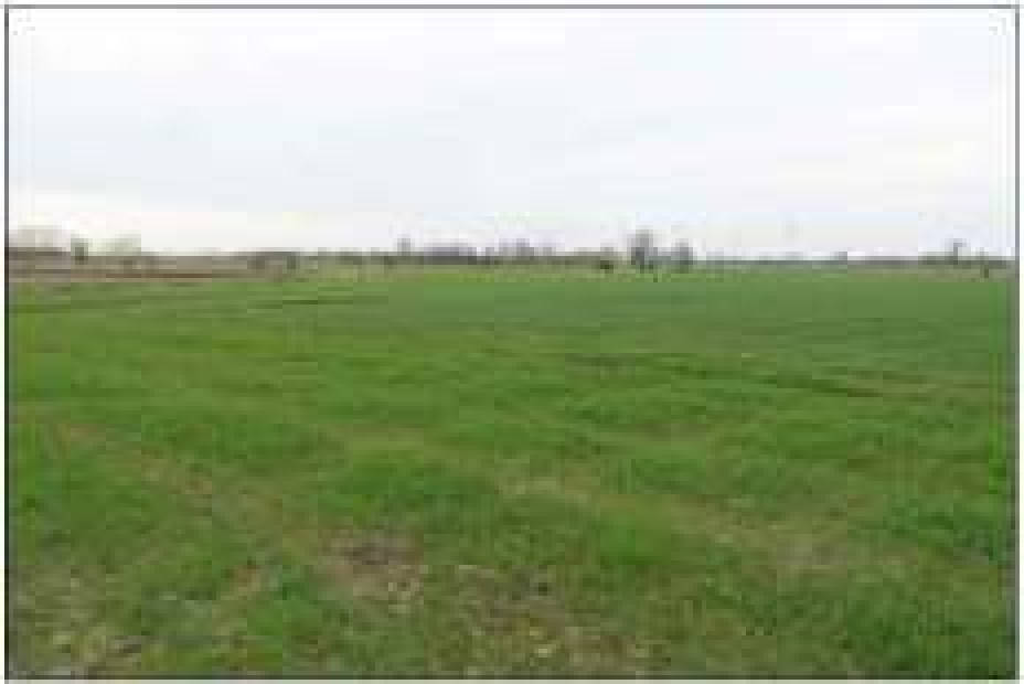 sachsen-anhalt 0007 K 0020/2022 Alte Dorfstraße 34, 39596 Goldbeck 6