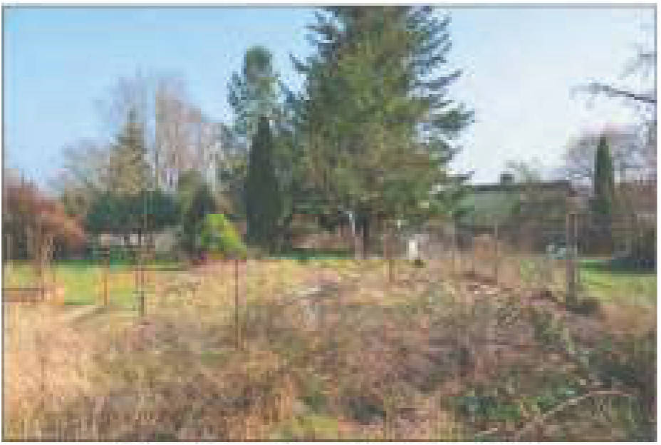 sachsen-anhalt 7 K 25/24 Schillerstraße 34, 39517 Tangerhütte 7