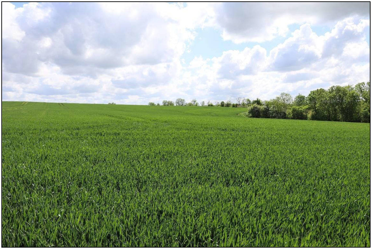 sachsen-anhalt 7 K 27/23 Mühlenweg 12, 06618 Naumburg OT Boblas 7