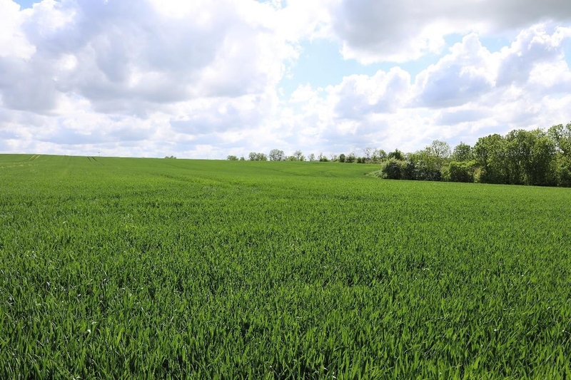 sachsen-anhalt 7 K 27/23 Mühlenweg 12, 06618 Naumburg OT Boblas 6