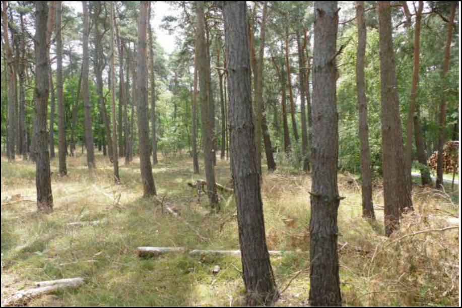 sachsen-anhalt 0007 K 0057/2020 39629 Bismark (Altmark) 12