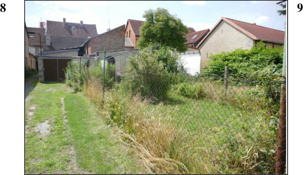 Wohnhaus, Reitplatz und Wald in 39629 Bismark (Altmark) - Bild 5