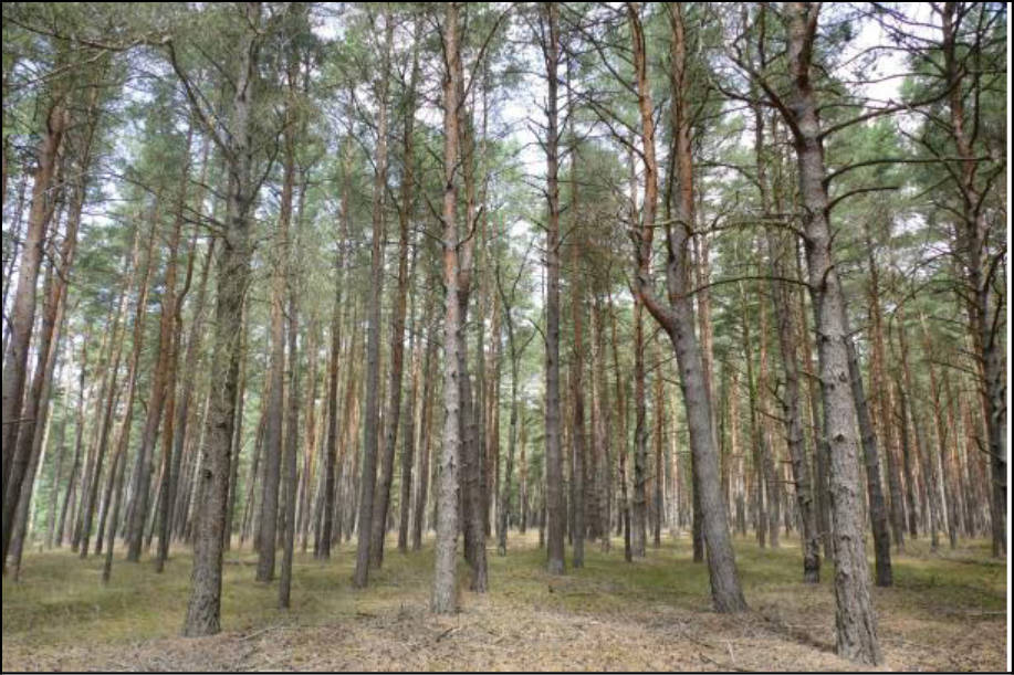 sachsen-anhalt 0007 K 0057/2020 39629 Bismark (Altmark) 8