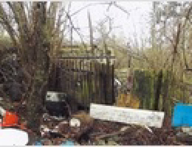 Grundstück in Lutz-Born-Straße, 06766 Bitterfeld-Wolfen OT Wolfen - Bild 3