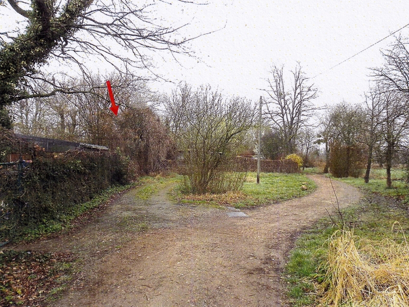 Grundstück in Lutz-Born-Straße, 06766 Bitterfeld-Wolfen OT Wolfen - Bild 5