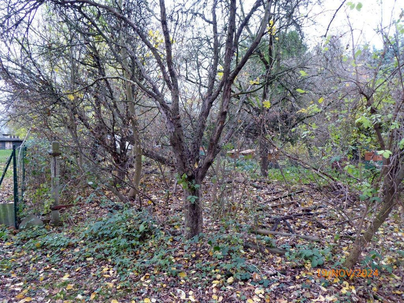 sachsen-anhalt 9 K 10/24 , 06749 Bitterfeld-Wolfen OT Bitterfeld 6