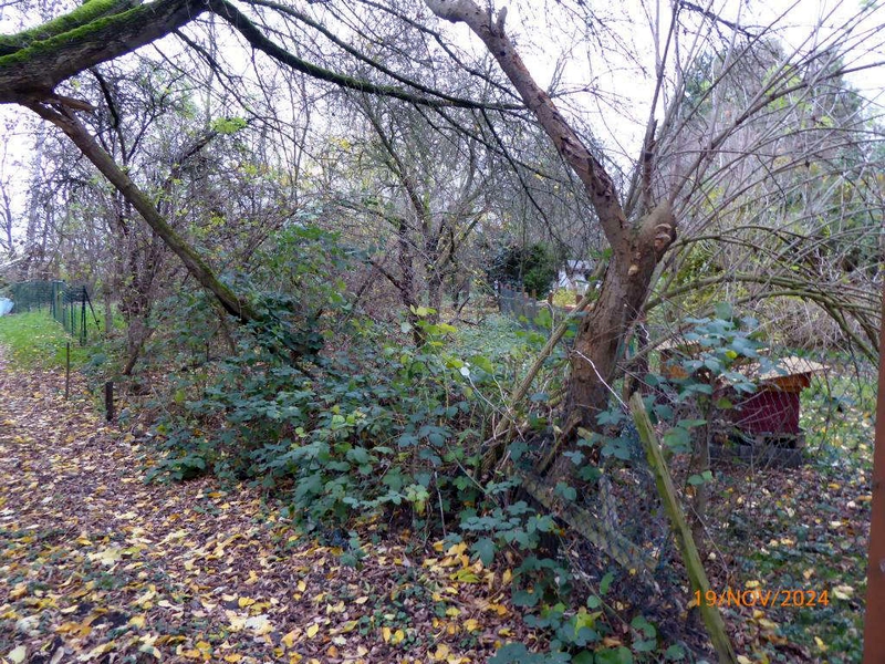 Grundstück in , 06749 Bitterfeld-Wolfen OT Bitterfeld - Bild 4