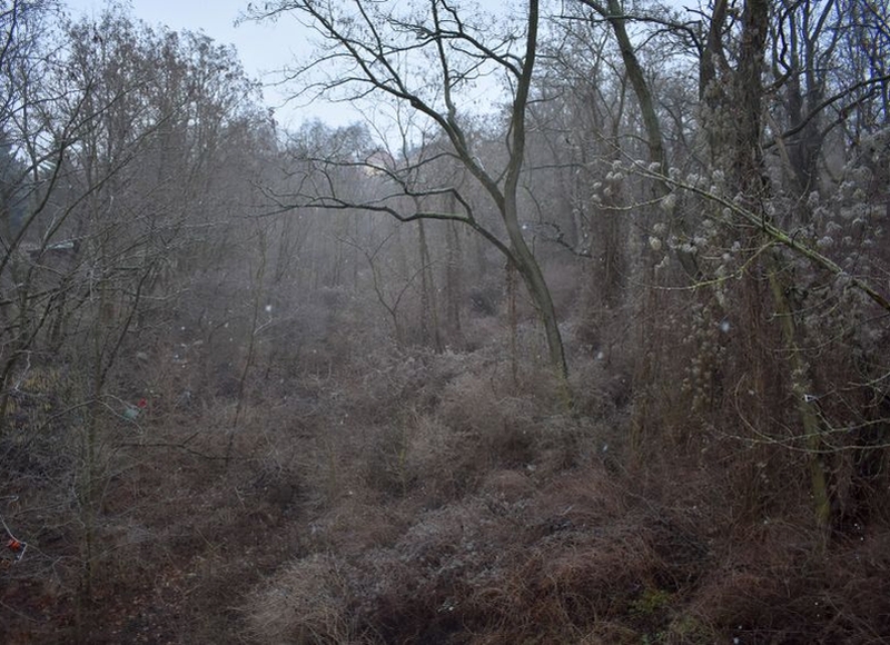 , 06749 Bitterfeld-Wolfen