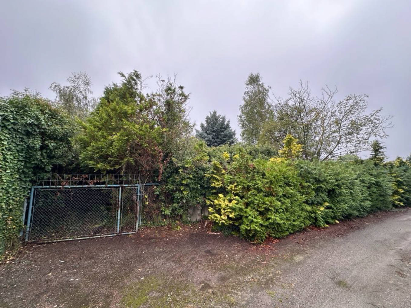 Grundstück in Burgwall 2a, 39340 Haldensleben - Bild 4