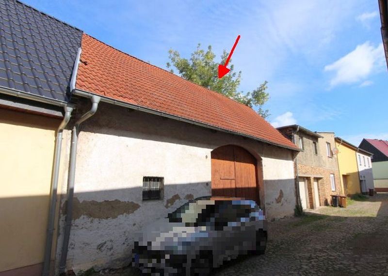 Wohnen/Gewerbe in Hauptstraße 48, 06800 Raguhn-Jeßnitz OT Jeßnitz - Bild 5