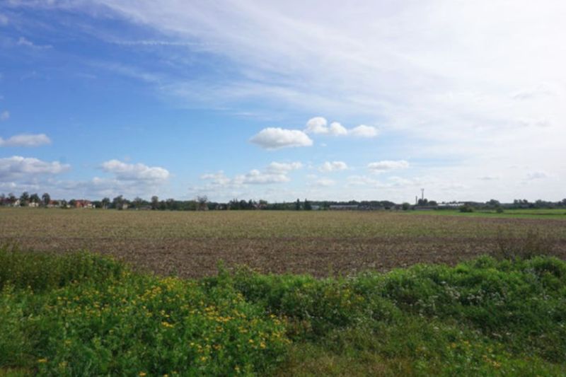 Land-/Forstwirtschaft in , 39359 Wegenstedt - Bild 4