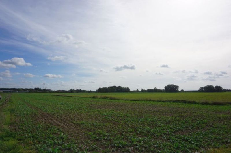 Land-/Forstwirtschaft in , 39359 Wegenstedt - Bild 3