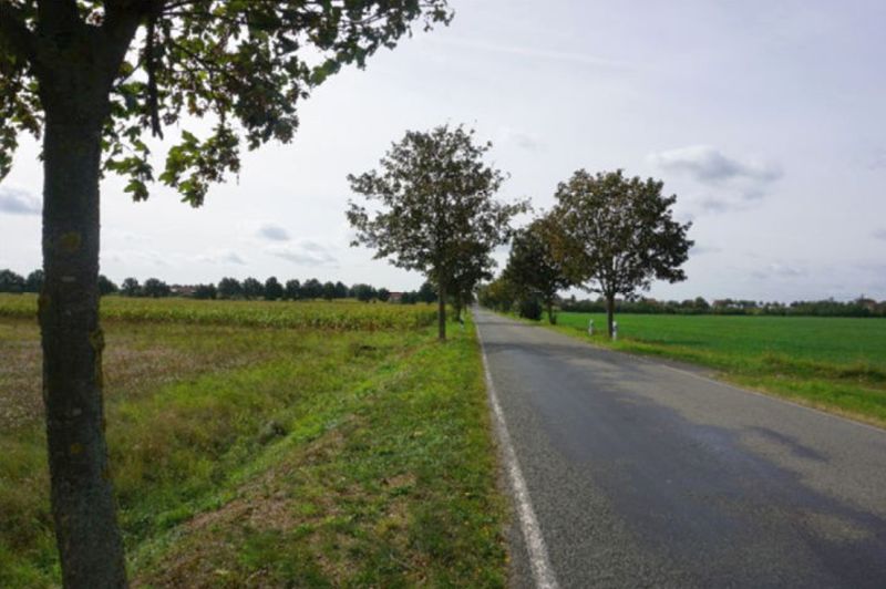 Land-/Forstwirtschaft in , 39359 Wegenstedt - Bild 5