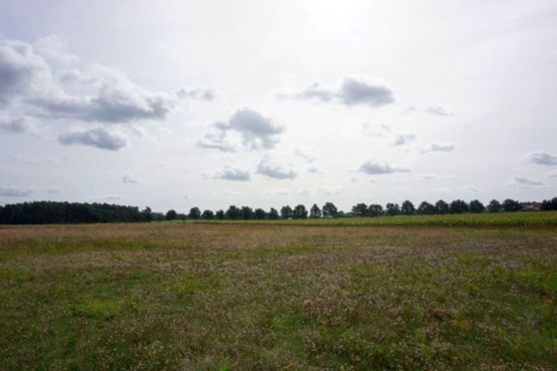 Land-/Forstwirtschaft in , 39359 Wegenstedt