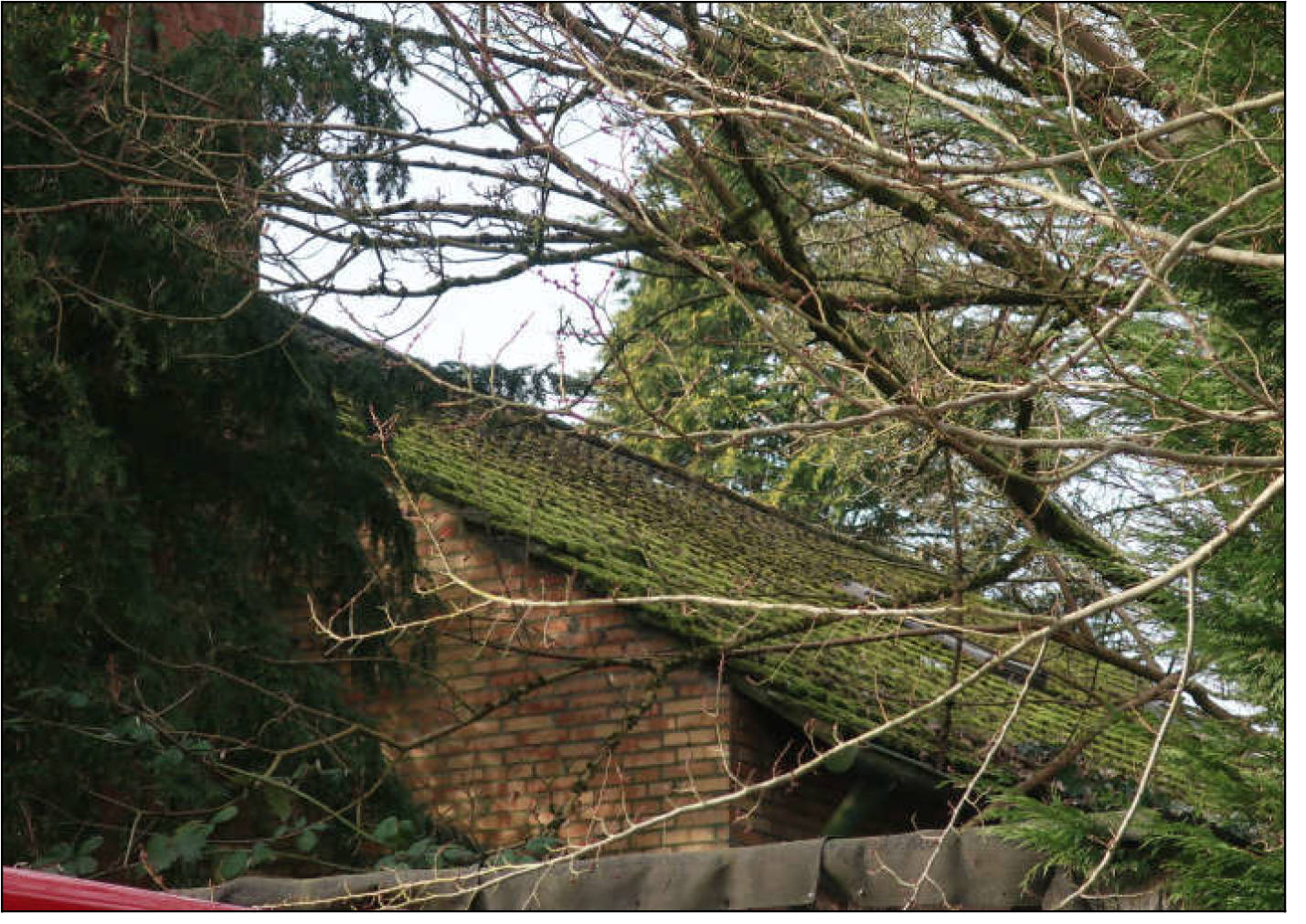 schleswig-holstein 14 K 4/24 Lübecker Straße 112, 23795 Bad Segeberg 15