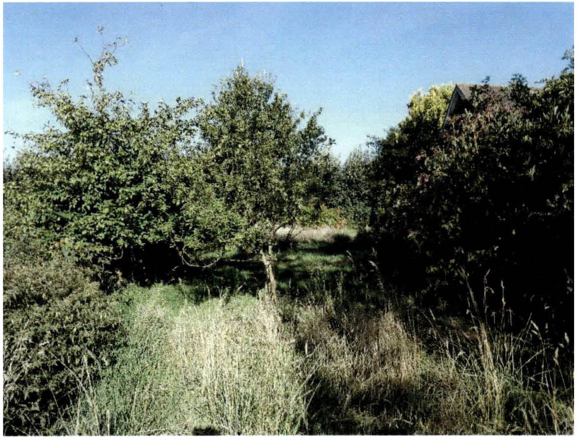 Einfamilienhaus in Kirchhorst 1, 24361 Groß Wittensee. - Bild 3