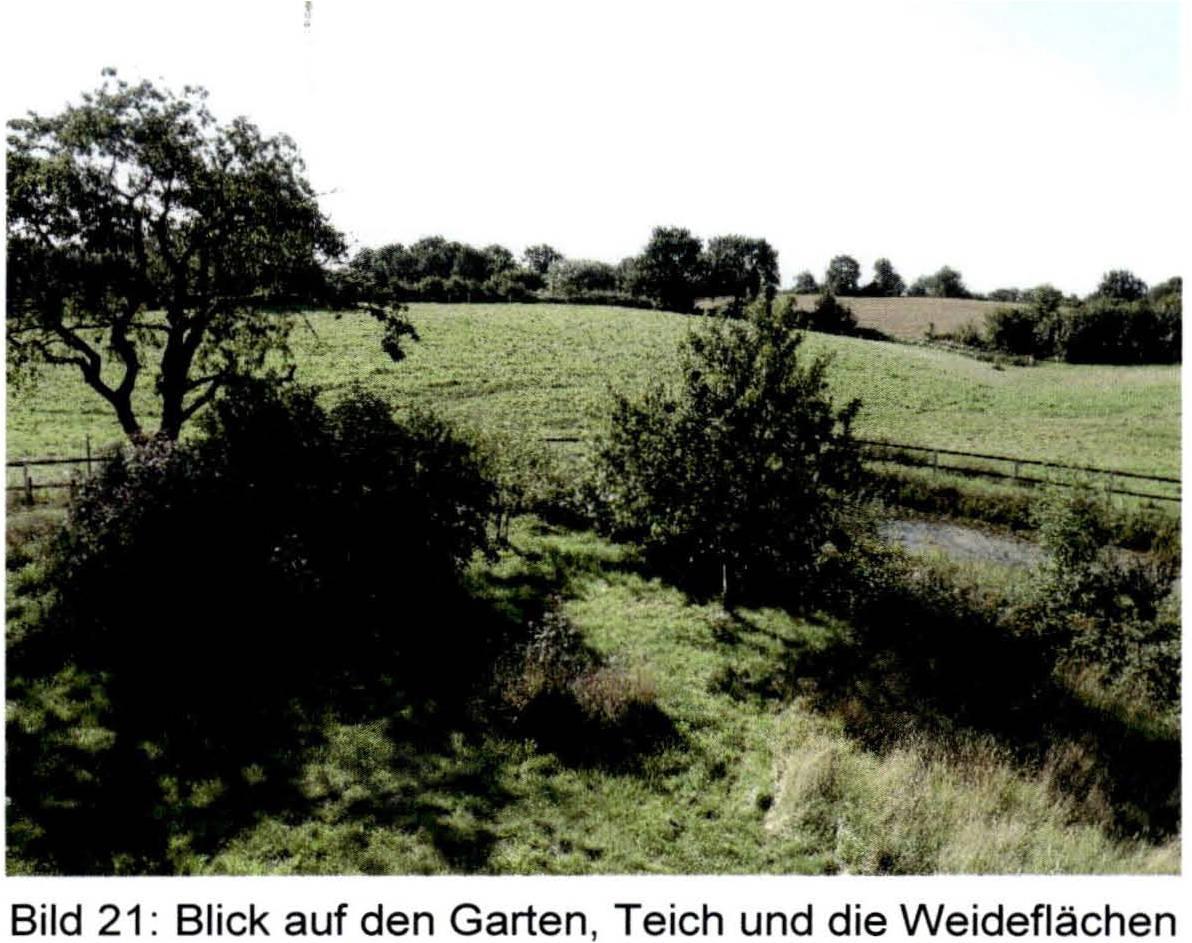 Einfamilienhaus in Kirchhorst 1, 24361 Groß Wittensee. - Bild 4