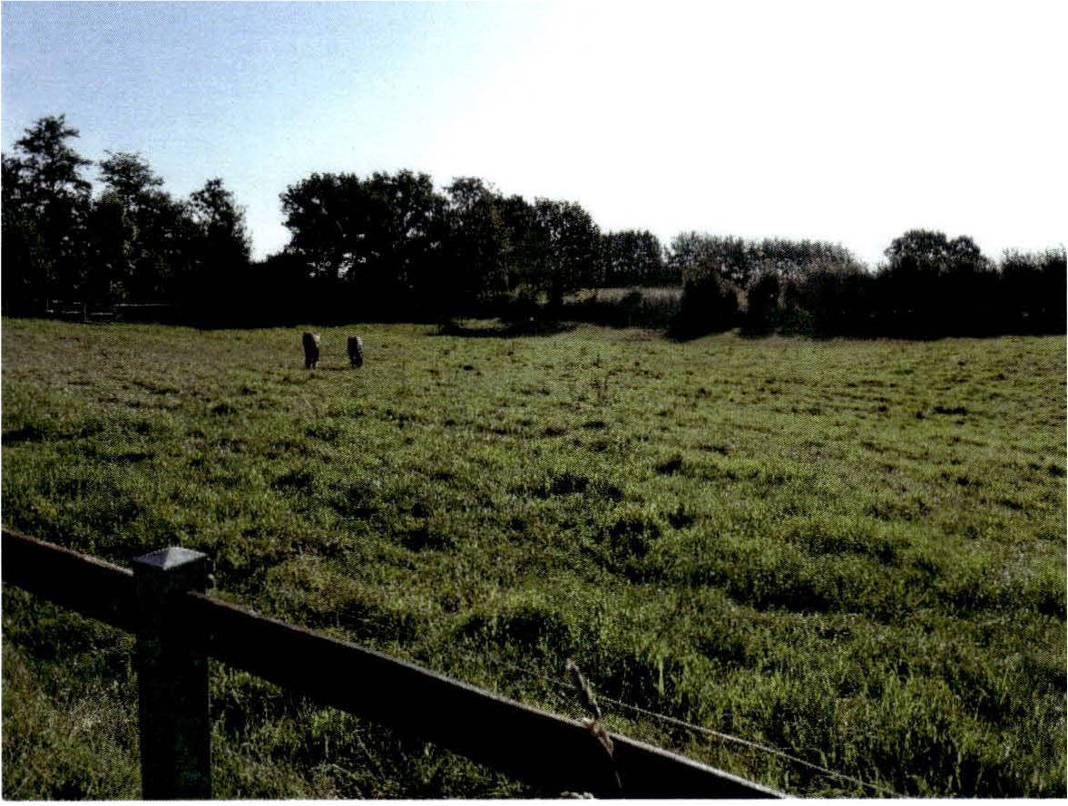schleswig-holstein 2 K 13-24 Kirchhorst 1, 24361 Groß Wittensee. 21