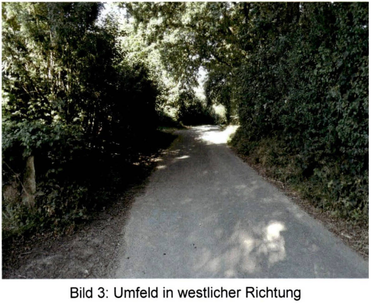 schleswig-holstein 2 K 13-24 Kirchhorst 1, 24361 Groß Wittensee. 6