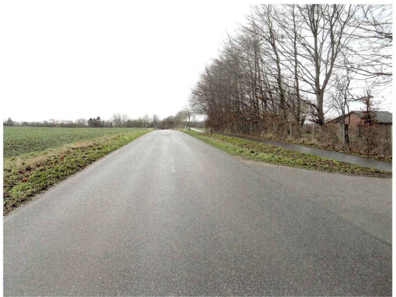 Gestüt in Kriesebyfeld 1, 24354 Rieseby - Bild 3