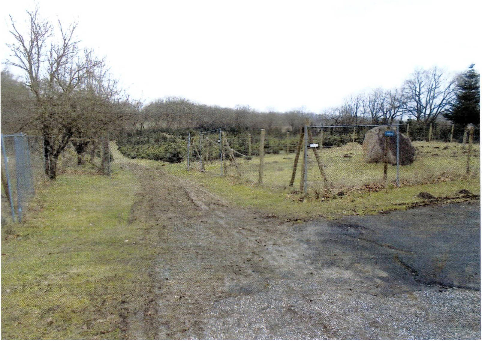 land-/ forstwirtschtl. Flächen in Nagelbergschlag, 24354 Kosel - Bild 2