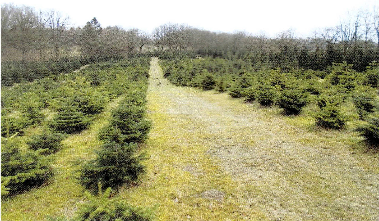 land-/ forstwirtschtl. Flächen in Nagelbergschlag, 24354 Kosel