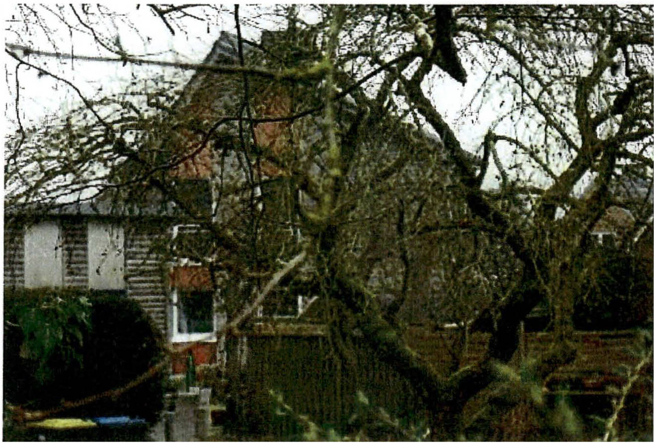 Einfamilienhaus in Klausdorfer Straße 23, 24161 Altenholz-Klausdorf