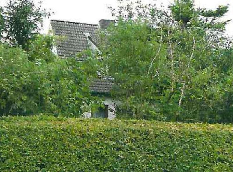 Einfamilienhaus in Schönkamp 33, 24226 Heikendorf - Bild 3