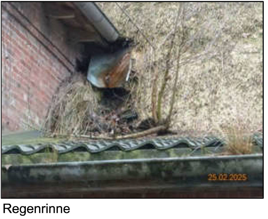 schleswig-holstein 28 K 21/24 Dorfstraße 1, 25376 Borsfleth 13