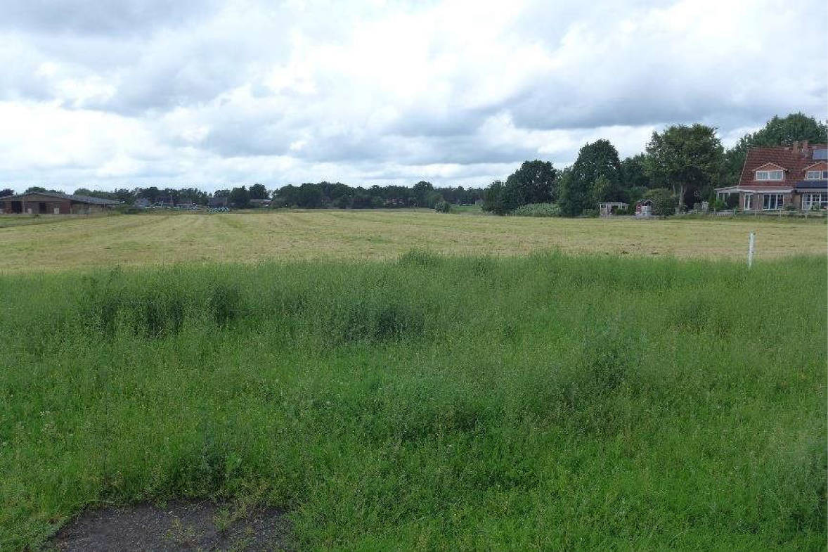 Land-/Forstwirtschaft in Rosenweg, 25569 Kremperheide - Bild 3