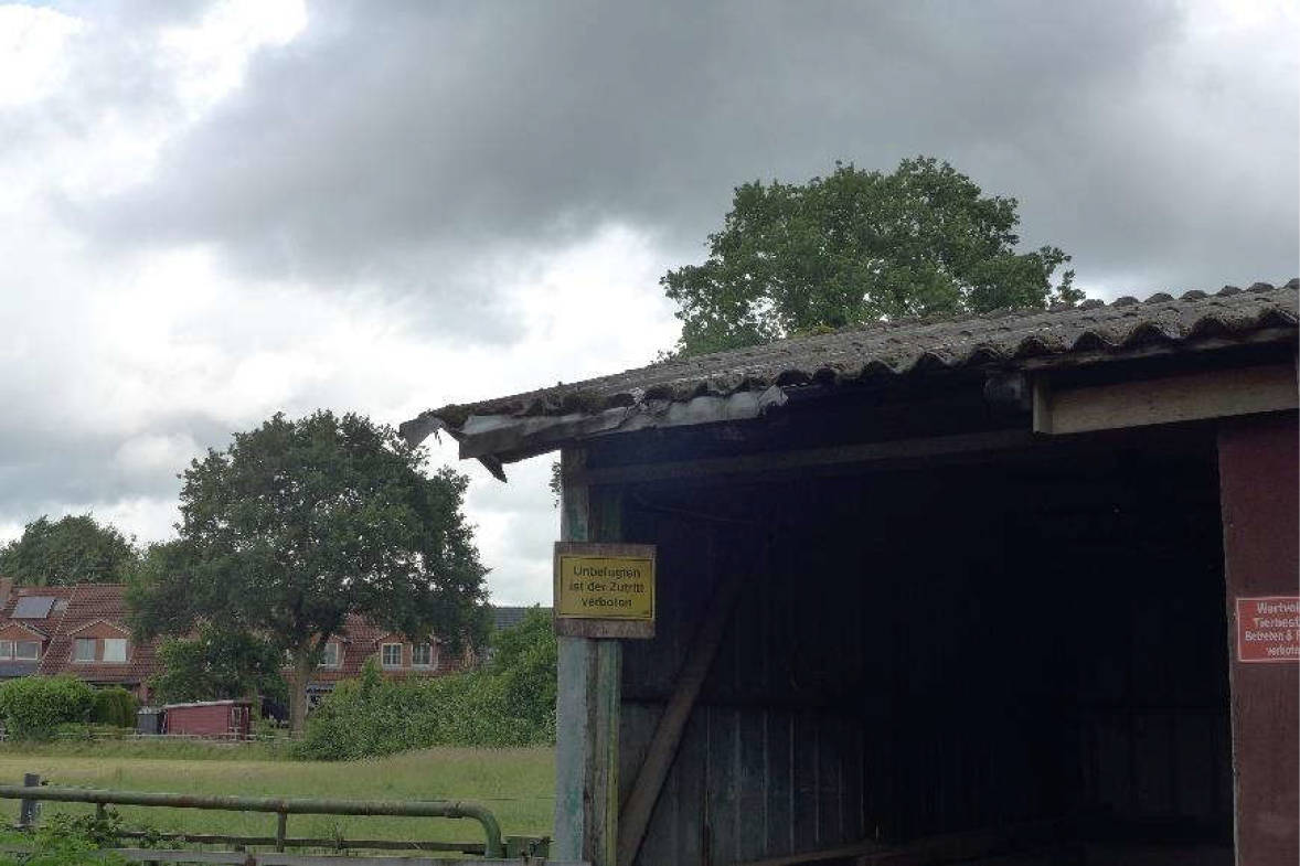 schleswig-holstein 28 K 9/24 Rosenweg, 25569 Kremperheide 12