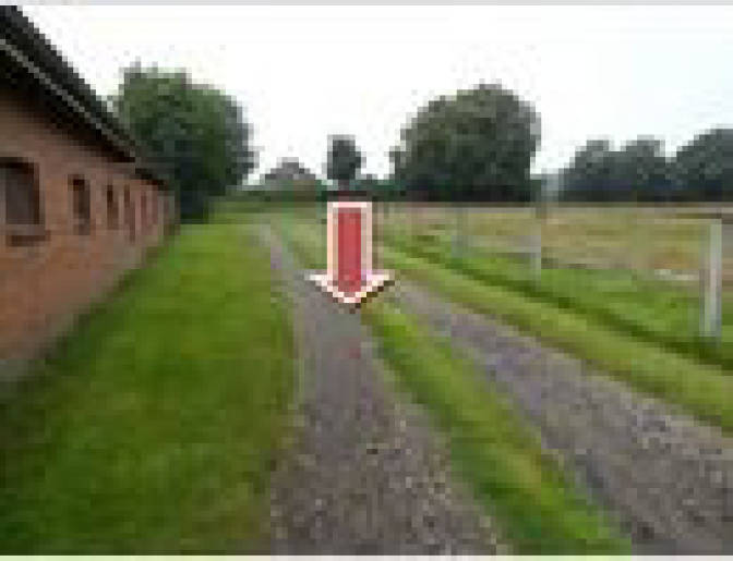 Grundstück in Süderheide, 25788 Hollingstedt - Bild 5