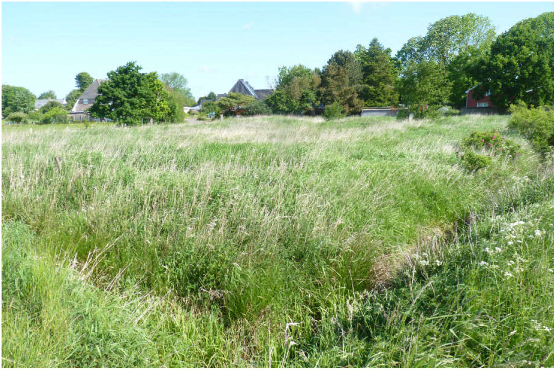 Land-/Forstwirtschaft in Im Dorfe, 25770 Hemmingstedt - Bild 2