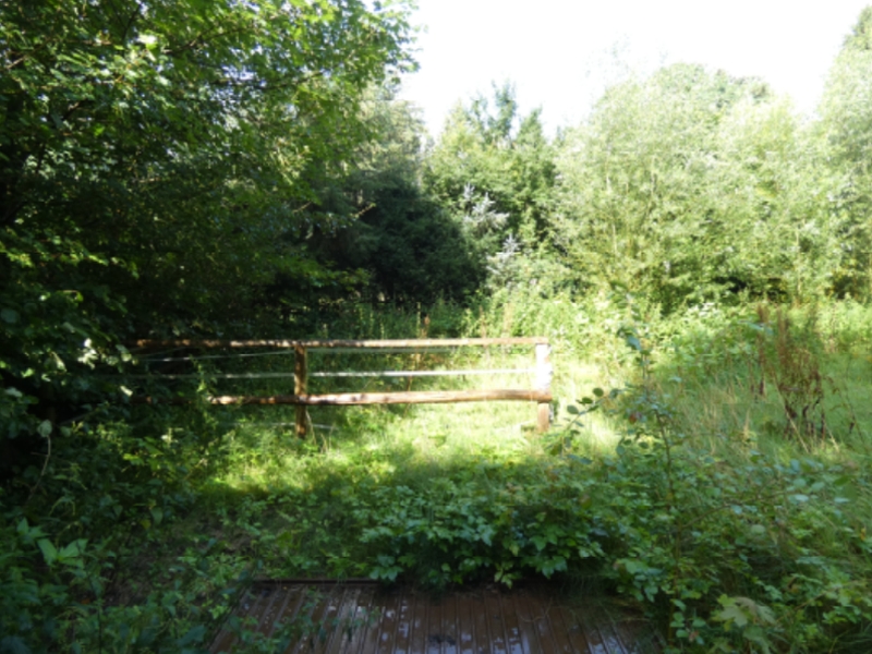 schleswig-holstein 33 K 5/25 An der L 138, 25693 Sankt Michaelisdonn 9
