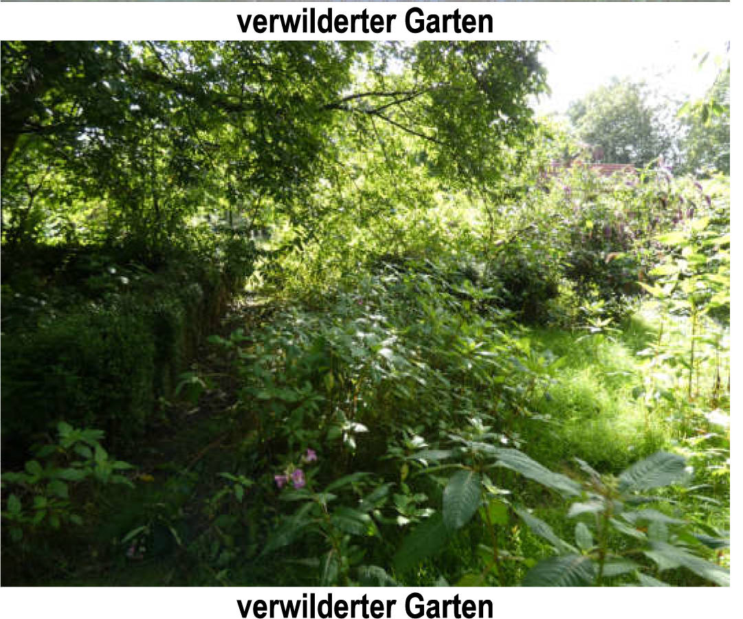schleswig-holstein 33 K 5/25 An der L 138, 25693 Sankt Michaelisdonn 10