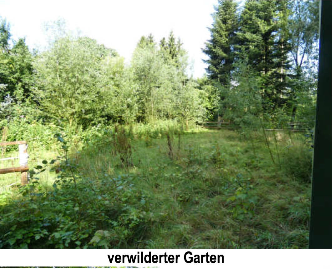 Grundstück in An der L 138, 25693 Sankt Michaelisdonn - Bild 5