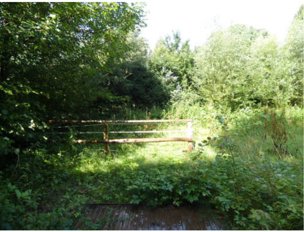 schleswig-holstein 33 K 5/25 An der L 138, 25693 Sankt Michaelisdonn 8