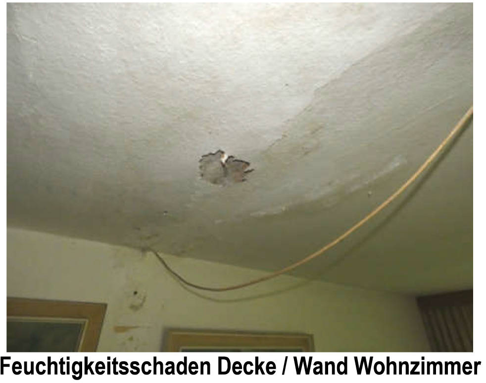 schleswig-holstein 33 K 6/25 Kampstraße 7, 25693 Sankt Michaelisdonn 11