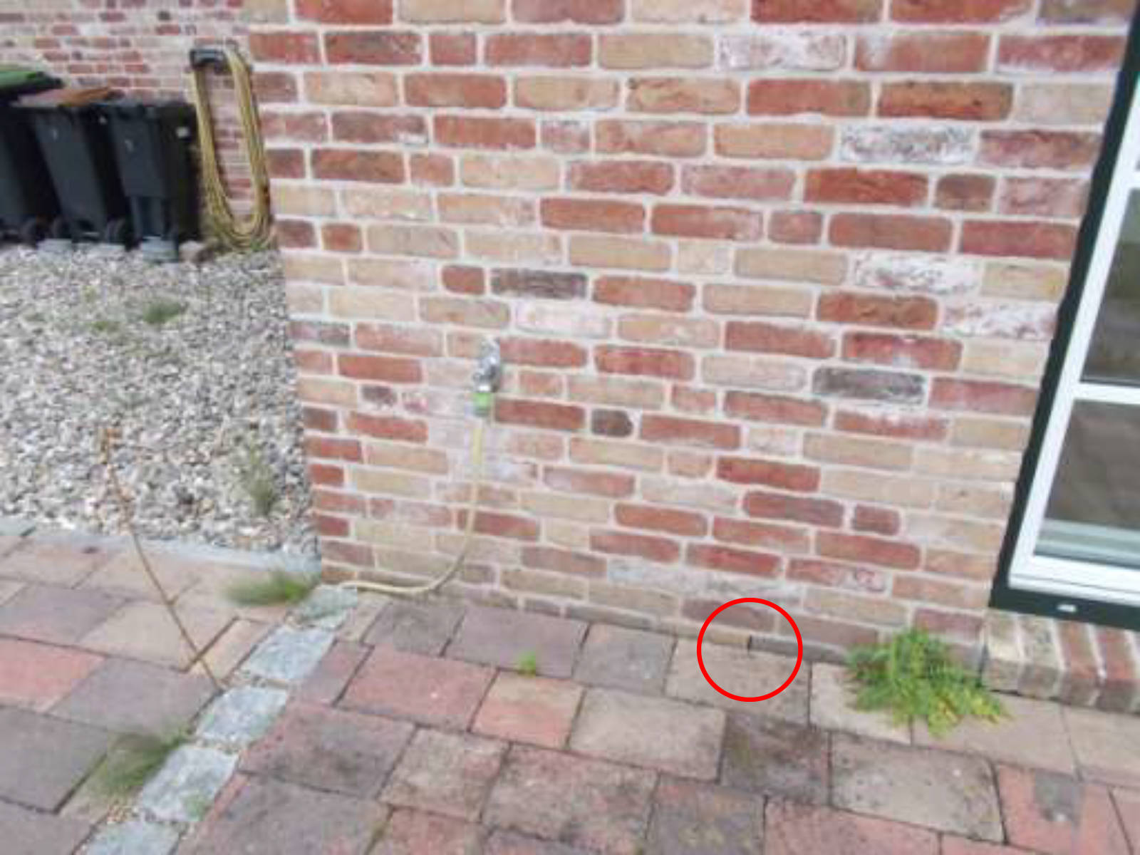 schleswig-holstein 50 K 16/25 Ulmenstr.7, 24977 Langballig 17