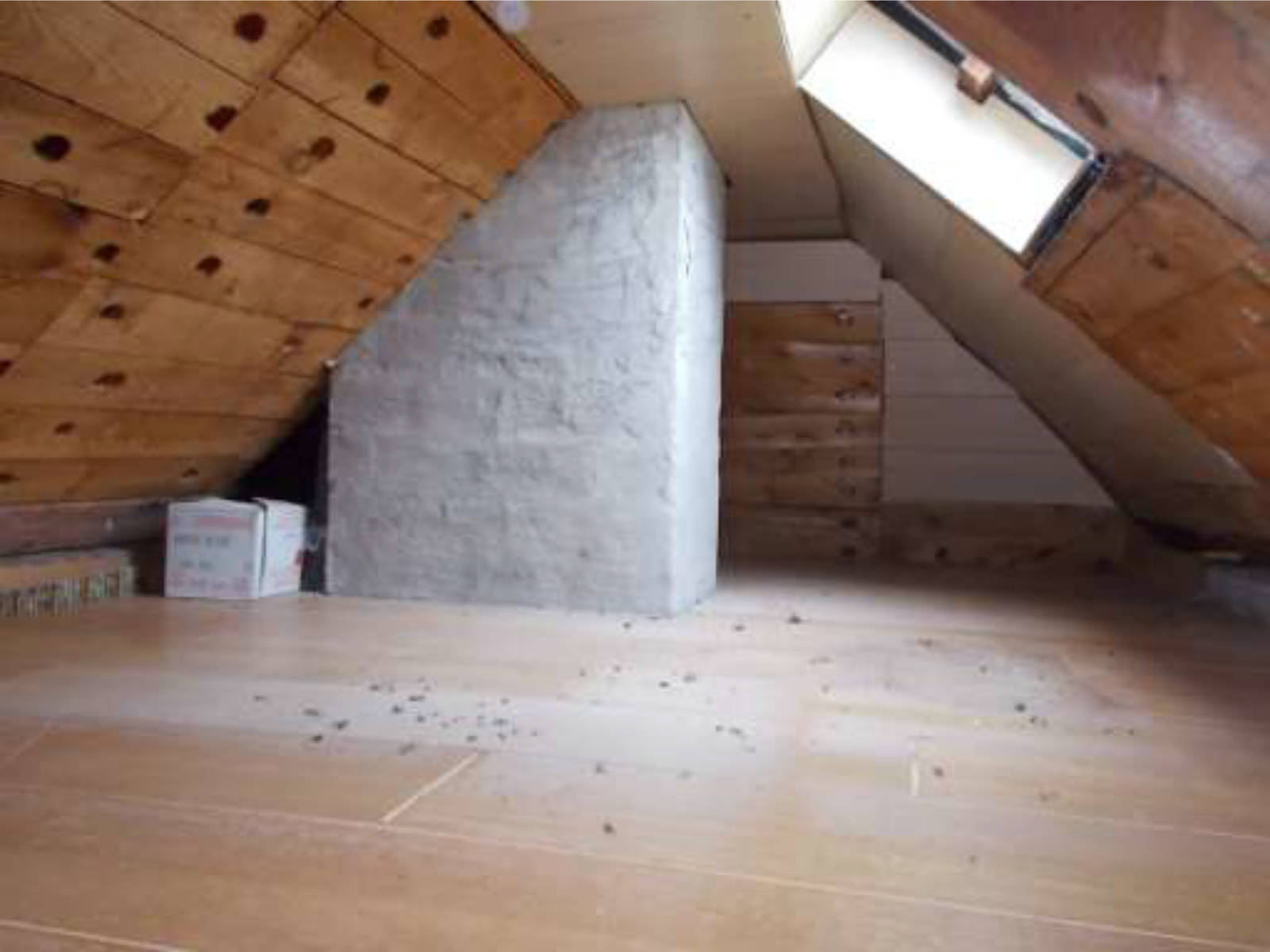 schleswig-holstein 50 K 6/25 Toft 27, 24960 Munkbrarup 10