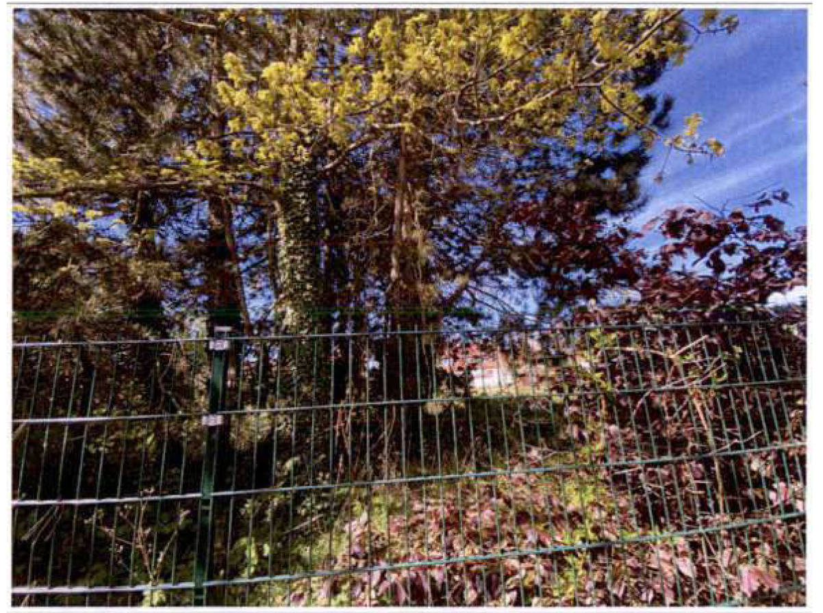 Einfamilienhaus in Göhler Straße 35, 23758 Oldenburg/Holstein