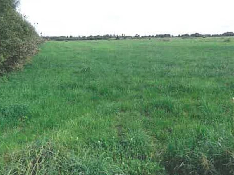 schleswig-holstein 6 K 1-19 Bockhöft 1, 3 und Brook, 24870 Ellingstedt