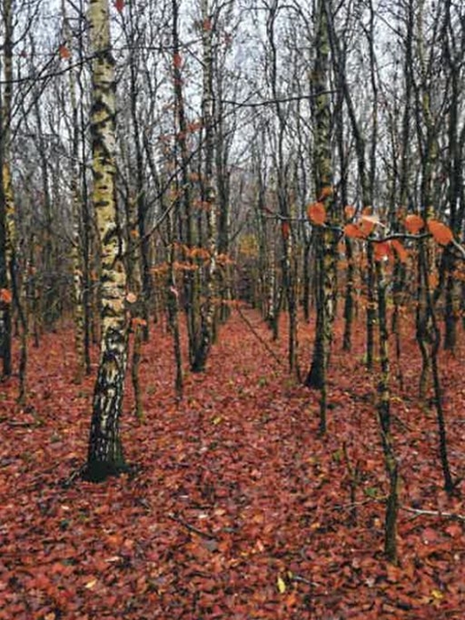 schleswig-holstein 6 K 1-19 Bockhöft 1, 3 und Brook, 24870 Ellingstedt