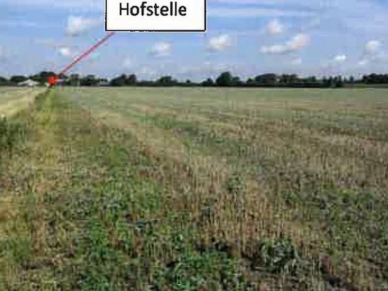 schleswig-holstein 6 K 1-19 Bockhöft 1, 3 und Brook, 24870 Ellingstedt